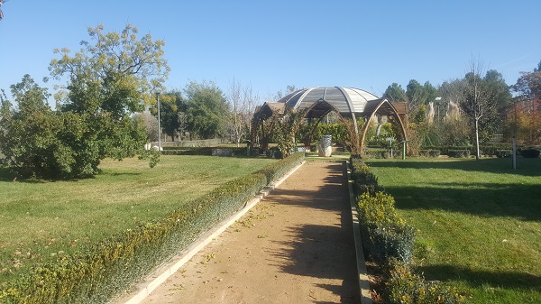 Jardín botánico de Castilla-La mancha.
