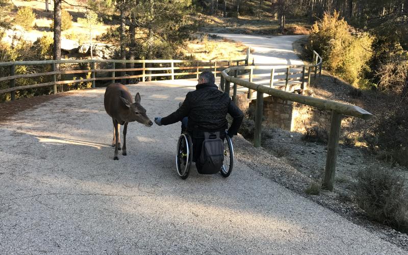 Cuenca Accesible. Usuario de silla de ruedas acaricia a una cierva