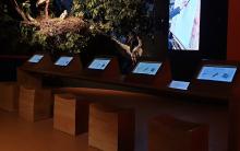 Mesas con paneles interactivos. Centro de Visitantes Horcajo de los Montes.