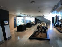 Amplias salas de exposiciones con zonas de giro superiores a 150 cm